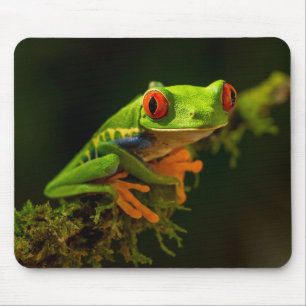 Stäng en röd Eyed Träd Frog #1 Musmatta