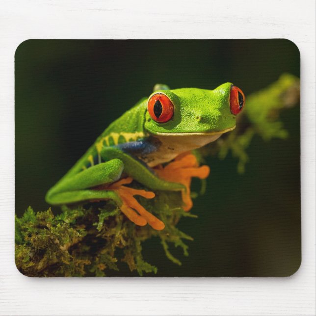 Stäng en röd Eyed Träd Frog #1 Musmatta (Framsidan)