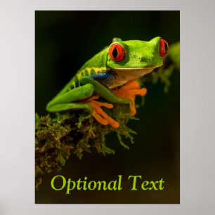 Stäng en röd Eyed Träd Frog #1 Poster