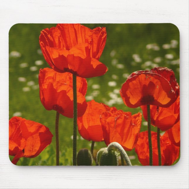 Stäng foto för Bright Poppies Musmatta (Framsidan)