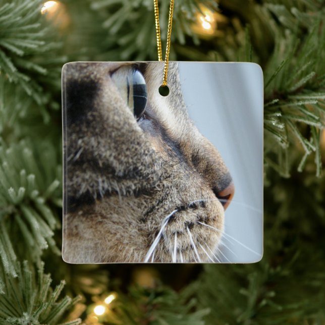 Stäng foto för coola Cat Ansikte-profil Julgransprydnad Keramik (Träd)