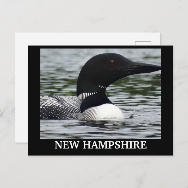 Stäng foto för Sjö Loon Vykort (Fram/baksida)