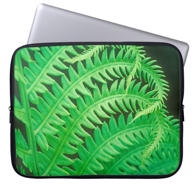 Stäng foto på en fern frond laptop fodral (Framsidan)