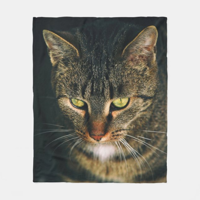 STÄNG FOTOGRAFI AV GRÅTT TABBY KATT FLEECEFILT (Framsidan)