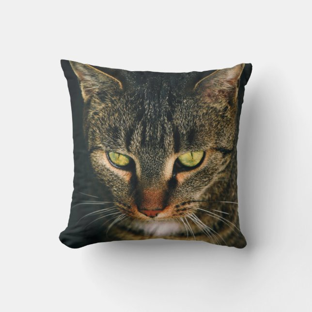 STÄNG FOTOGRAFI AV GRÅTT TABBY KATT KUDDE (Framsida)