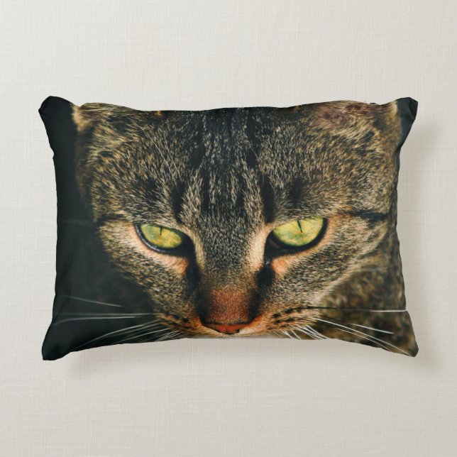 STÄNG FOTOGRAFI AV GRÅTT TABBY KATT PRYDNADSKUDDE (Framsidan)