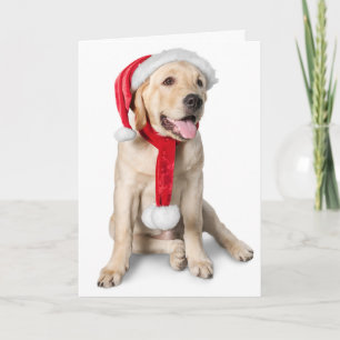 Stäng Gul lab med Santa Hat Labby-Helgdagar! Helgkort