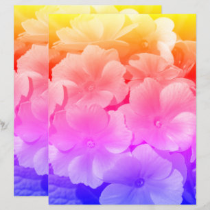 Stäng gult Primrose Vår blommor