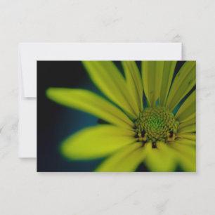 Stäng Gult Wildblomma Anteckningskort