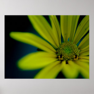 Stäng Gult Wildblomma Poster