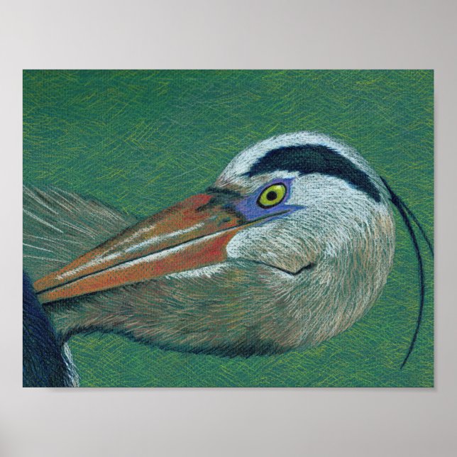 Stäng Heron Poster (Framsidan)