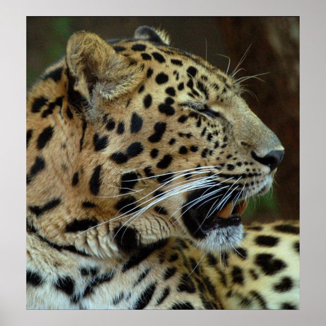 Stäng inte Ögonen på mig... Poster (Framsidan)