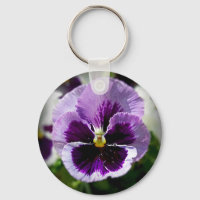 Stäng lila Pansy