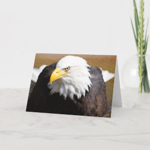Stäng Örn Blank Notecard Kort