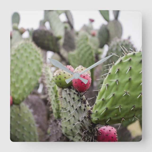 Stäng prickade päronskåp fyrkantig klocka (Framsida)