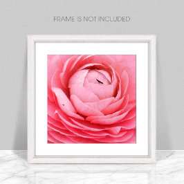 Stäng Rosa Flower Photo Print Fototryck