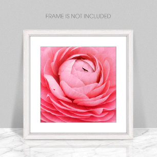 Stäng Rosa Flower Photo Print Fototryck