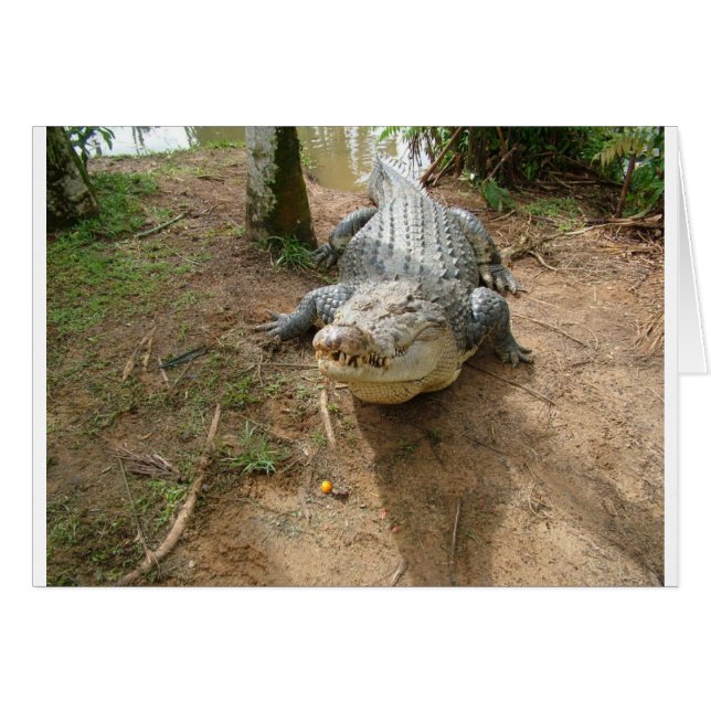 Stäng samtal hälsningskort (Framsidan Horizontal)