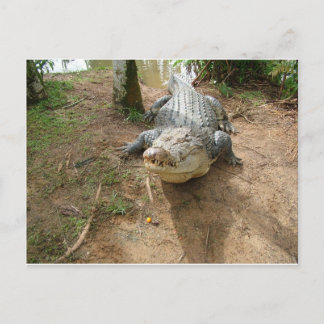 Stäng samtal vykort