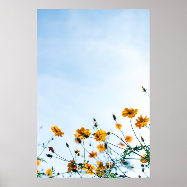Stäng skott på gula blommor poster (Framsidan)