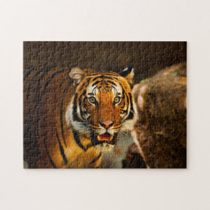 Stäng tiger pussel