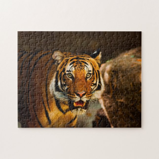 Stäng tiger pussel (Horisontell)
