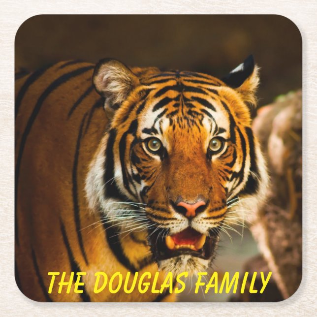 Stäng tiger underlägg papper kvadrat (Framsidan)
