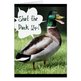 Stäng upp ankan OBS kort