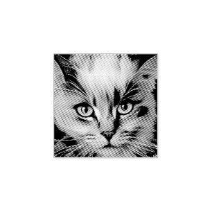 Stäng upp en färglös siamesisk kattunge stämpel