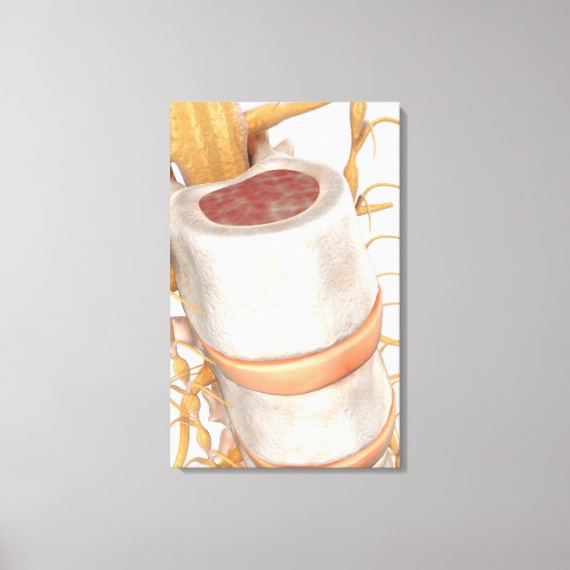 Stäng upp en ryggrad i ryggraden canvastryck (Framsida)