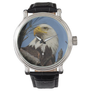 Stäng upp huvudet Örn Armbandsur