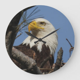 Stäng upp huvudet Örn Stor Klocka