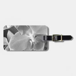 Stäng upp orkiderade blommar i grått- bagagebricka