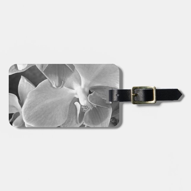 Stäng upp orkiderade blommar i grått- bagagebricka (Horisontell Framsida)