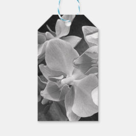 Stäng upp orkiderade blommar i grått- presentetikett