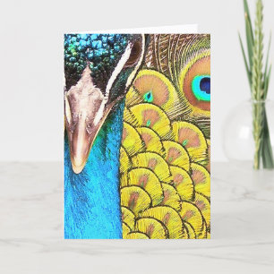 Stäng upp Peacock Färg födelsedag Kort