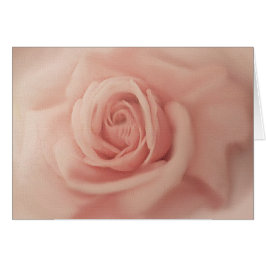 Stäng upp Rosa ros-kort Hälsningskort