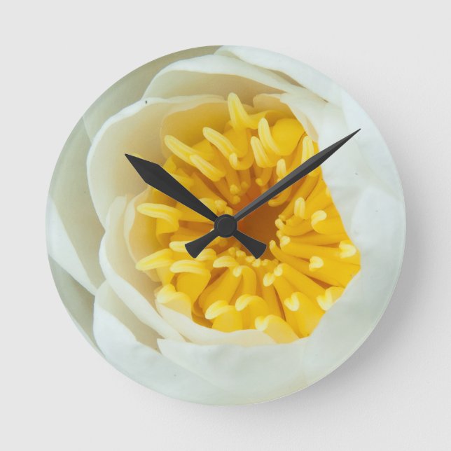 Stäng upp Vatten Lilly Rund Klocka (Framsida)