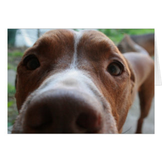 Stäng uppåt hälsningskort