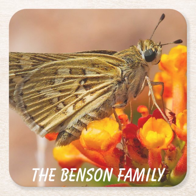 Stäng Vildens måne Underlägg Papper Kvadrat (Framsidan)