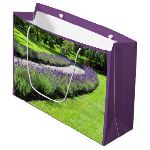 Stängande Lavender-Lining Garden Walk