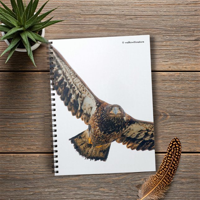 Stängande Örn gör en fällning Anteckningsbok (Stunning Bald Eagle Does a Flyover Journal Cover Photo)