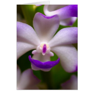 stängd av Orchid Flower Hälsningskort
