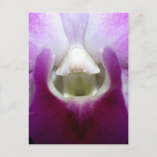 stängd av Orchid Flower Vykort