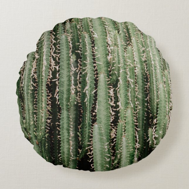 Stängfoto för grönt cactus plant rund kudde (Framsidan)