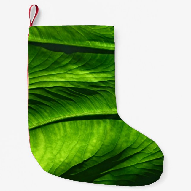 Stängfoto från grönt löv liten julstrumpa (Framsidan)