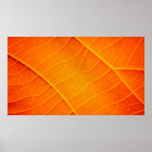 Stängning av abstrakt för orange och gult löv poster