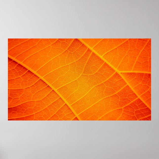 Stängning av abstrakt för orange och gult löv poster (Framsidan)