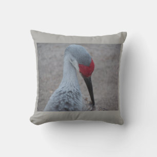 Stängning av ansikte i en Sand Backe Crane Kudde