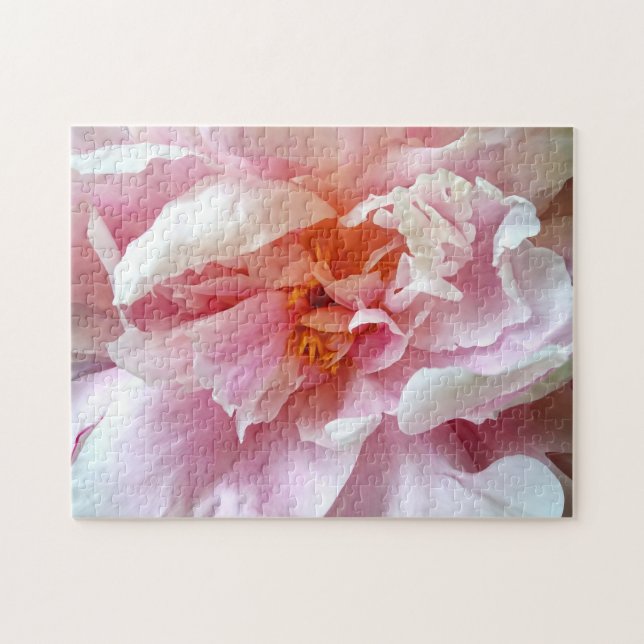 Stängning av Blek Rosa Peonies Pussel (Horisontell)